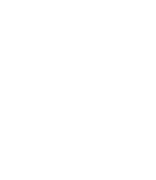 budget-icon.png